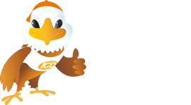 Instituto da Criança com Diabetes