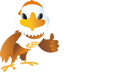 Instituto da Criana com Diabetes