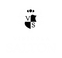 Vinícula Salton