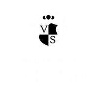 Vincula Salton